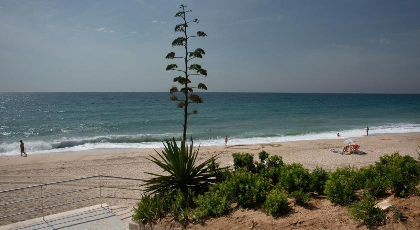 Apart. A-Dorada Miami Playa Leilighet Eksteriør bilde