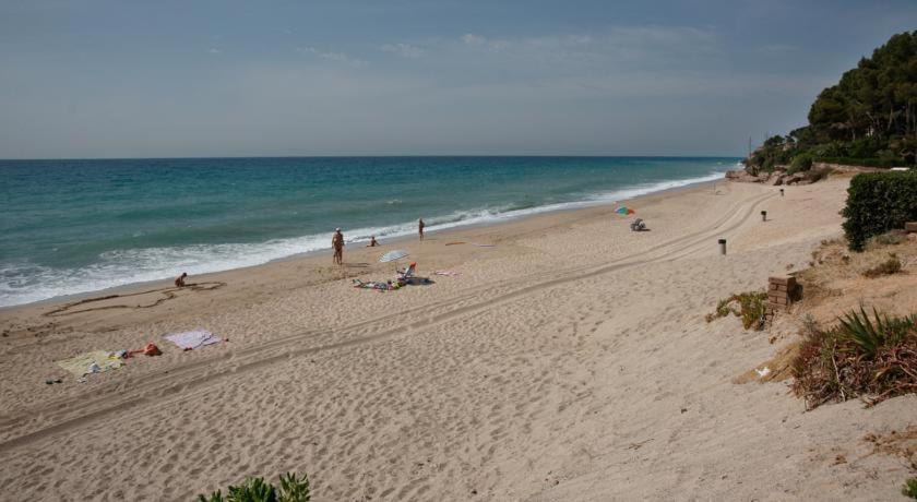 Apart. A-Dorada Miami Playa Leilighet Eksteriør bilde